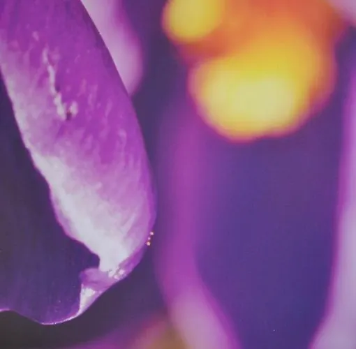 City Hostel Bergen Hostel *